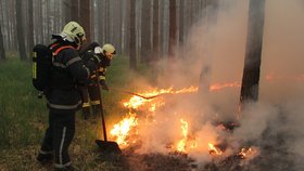 Požár zachvátil několik nejméně 4 kilometry čtvereční lesa