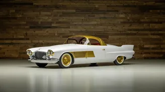 Pozlacený cadillac zničil hurikán Andrew. Nyní stanovil nový aukční rekord Pozlacený cadillac zničil hurikán Andrew. Nyní stanovil nový aukční rekord