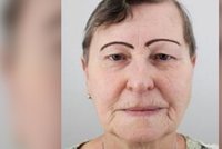 Marie (70) odešla z nemocnice ve Stodu: V ruce měla ještě kanylu! Neviděli jste ji?