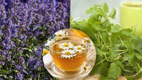 Voňavá pomoc z přírody! 4 bylinkové čaje + léčivá tinktura