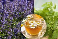 Voňavá pomoc z přírody! 4 bylinkové čaje + léčivá tinktura