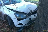 Opilý řidič boural v Čakovicích. Ve smyku srazil značku, pak to napálil čelně do stromu