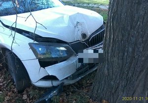 Opilý řidič dostal smyk, srazil dopravní značku a pak narazil čelně do stromu.