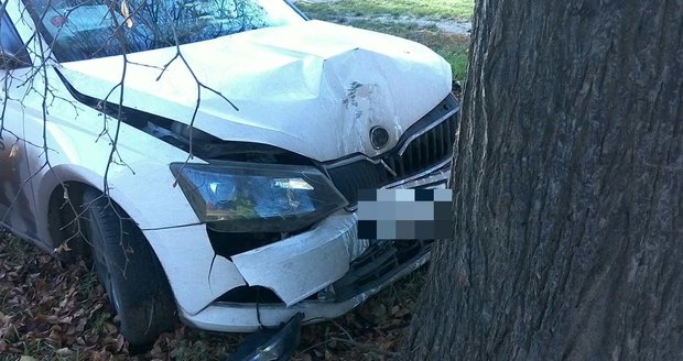 Opilý řidič dostal smyk, srazil dopravní značku a pak narazil čelně do stromu.