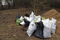 Na čakovický lesopark Havraňák se vrhlo 50 dobrovolníků. Naplnili až 300 pytlů odpadem