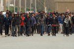 Pět migrantů je v kritickém stavu po střelbě v Calais.