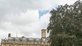 Univerzita v Cambridge přišla o trávník
