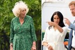 Camilla a vévodové ze Sussexu