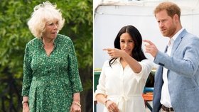 Camilla a vévodové ze Sussexu