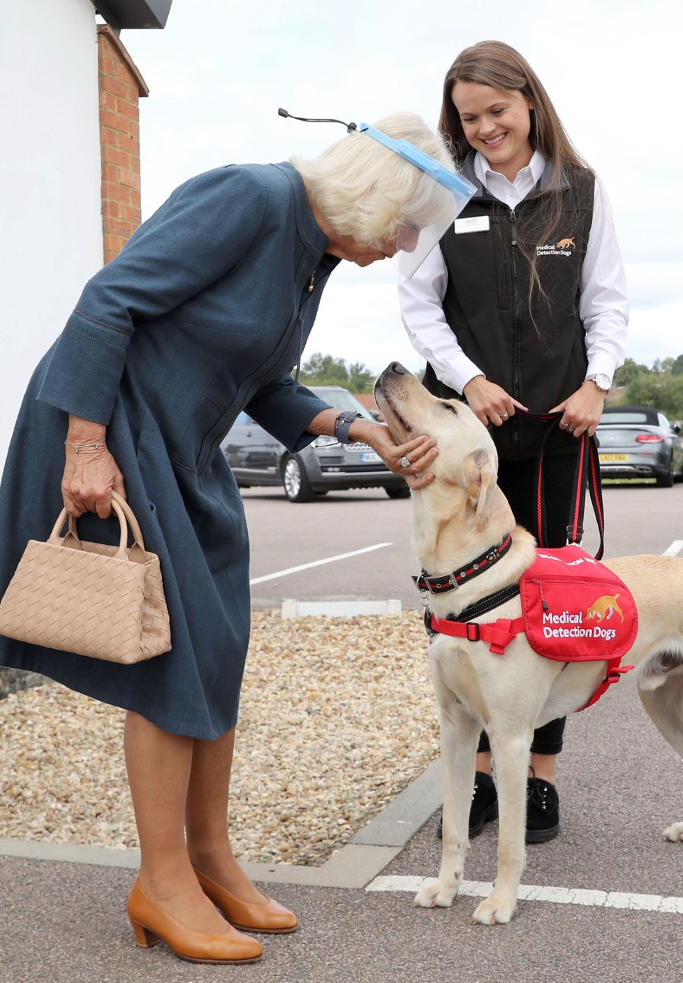 Camilla, vévodkyně z Cornwallu, navštívila školicí středisko charitativní organizace Medical Detection Dogs v Milton Keynes v Anglii, kde v současné době probíhají pokusy, které mají určit, zda psi mohou fungovat jako diagnostický nástroj COVID-19.