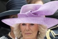 Charles: Camilla by mohla být královnou!