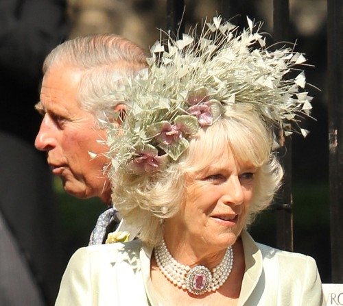 Camilla a Charles jsou britské veřejnosti pro smích.