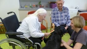 Canisterapie není jen o mazlení a hlazení. Na pořadu je vždy i akčnější část, aportování, příkazy či venčení.