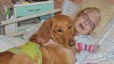 Bella rozzářila babičky i dědy v nemocnici: Konečně k nim zase může do postele