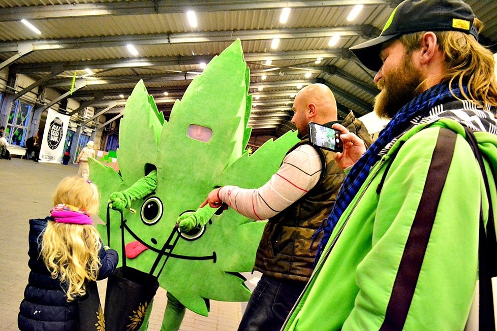 Cannafest 2019