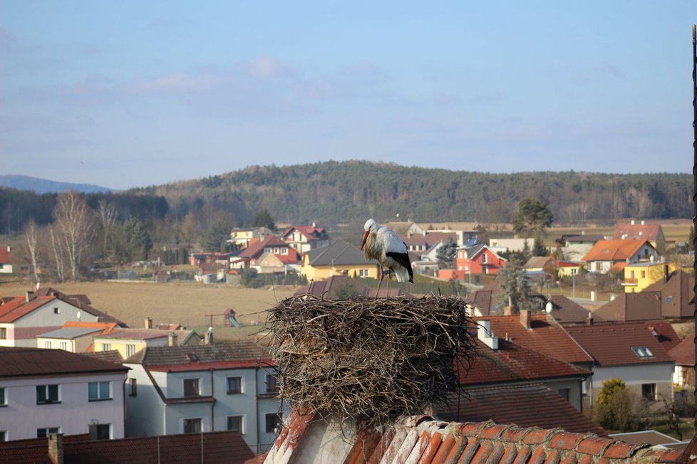 Max přiletěl už 18. února.