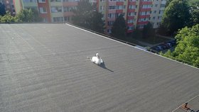 Mládě čápa se už nepodařilo zachránit.