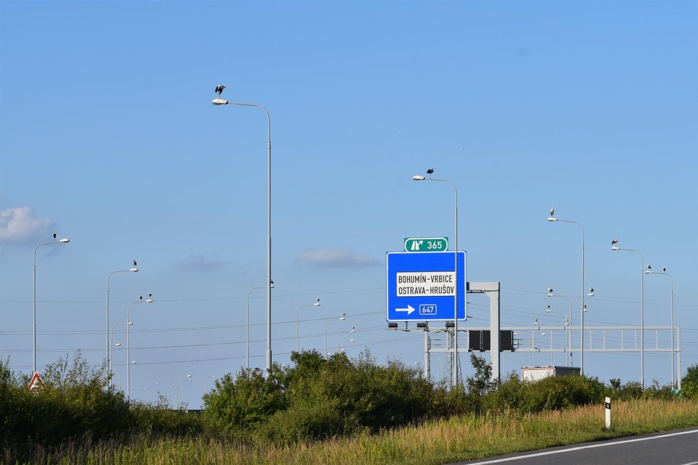 Neobvyklá podívaná udivuje řidiče jedoucí po D1 na severu Ostravy.