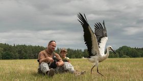 Vypuštění mladého čápa s vysílačkou na zádech zpět do volné přírody na Tachovsku.