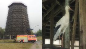 Hasiči vysvobodili čápa z chladicí věže zavřeného dolu. Druhý pták bohužel uhynul.