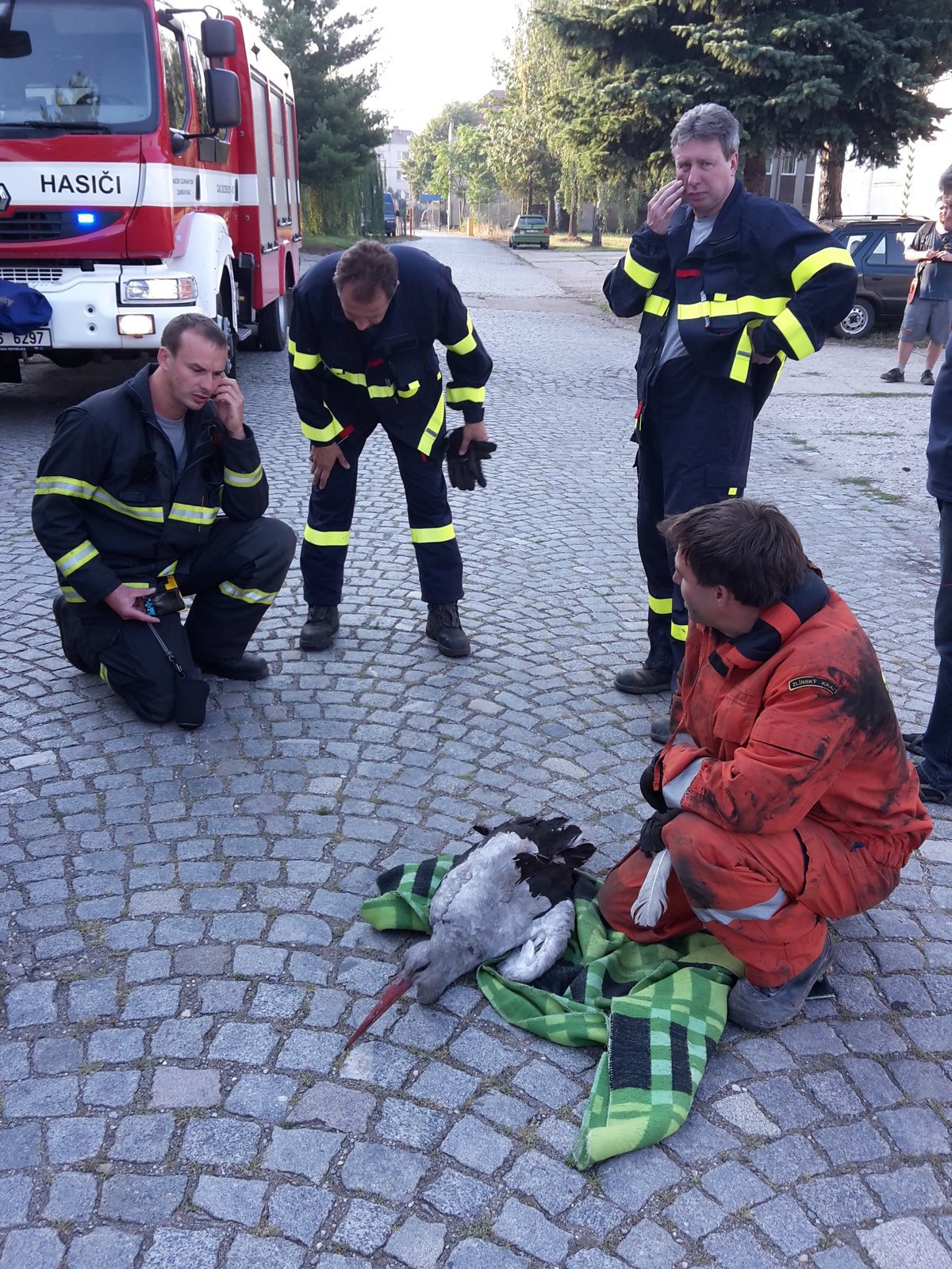 Na vyproštění opeřence pracoval celý tým hasičů