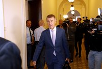 Soud kvůli Čapímu hnízdu: Exmanažer areálu odmítl vypovídat, Babiš přišel jen „na otočku“