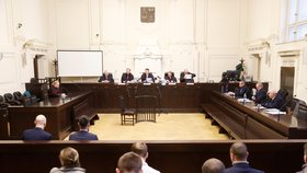 Vynášení rozsudku v kauze Čapí hnízdo (14.2.2024)