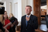Čapí hnízdo u soudu, den druhý. Lžete, útočil Babiš na klíčového znalce