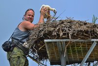 Přes 1,5 milionu! Lidé se složili záchranné stanici v Plzni na opravy