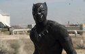 Black Panther se rychle stal oblíbencem fanoušků