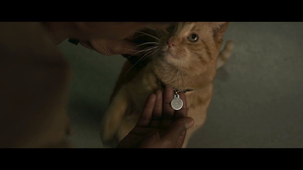 Záběry z druhého traileru na Captain Marvel