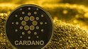 Cardano