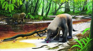 Dinosauři vyhynuli? Výhoda! Jak savci ovládli planetu