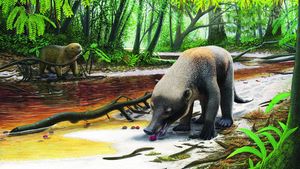 Dinosauři vyhynuli? Výhoda! Jak savci ovládli planetu