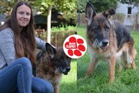Iru chtěli uspat. Zachránil ji spolek, teď pro ni shání virtuální adopci