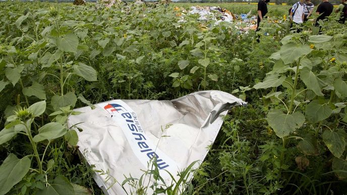 Část zříceného letounu Malaysia Airlines u ukrajinské obce Rozsypne