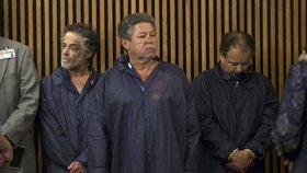 Zvrhlí bratři Castrovi stanuli poprvé před soudem