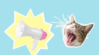 Co je catcalling a proč nemá nic společného s komplimentem? Co je catcalling a proč nemá nic společného s komplimentem?