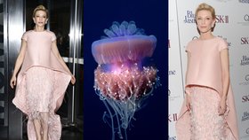 Podivný model Cate Blanchett: V bizarních šatech vypadala jako medúza!