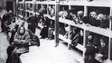Koncentrační tábor Osvětim-Birkenau