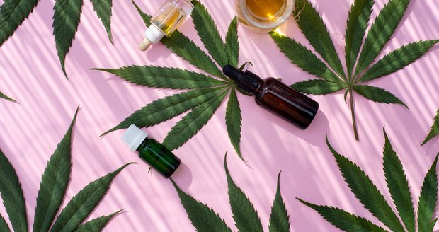 České firmy s CBD kosmetikou: Které značky zachrání vaši citlivou pleť? ...