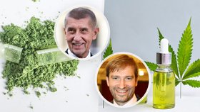 Obrat u Lex kratom: Zakazuje i léčebné CBD, tvrdí experti!