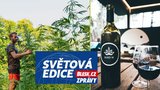 „Zhulené“ víno: Do Bordeaux pěstitel přimíchává marihuanu, pomohla i česká