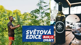 „Zhulené“ víno: Do Bordeaux pěstitel přimíchává marihuanu, pomohla i česká