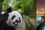 Čínské Čcheng-tu je víc než jen pandy.