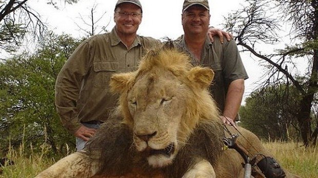 Zubař a lovec Walter James Palmer (vlevo) s jedním z dalších lvů, které zastřelil.