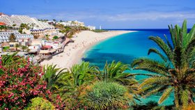 Dalším místem, kam můžete opět vyrazit na svou dovolenou, jsou Kanárské ostrovy
