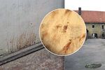 Cákance krvě vězeňkyň gestapa z brněnského Cejlu. Na zdi jedné z cel bývalé káznice vydržely od konce druhé světové války plných 72 let.