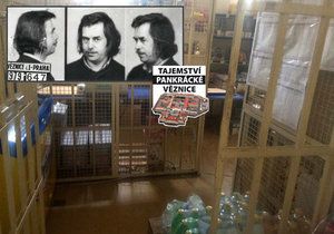 Do cely Václava Havla teď chodí vězni pro potraviny či noviny.