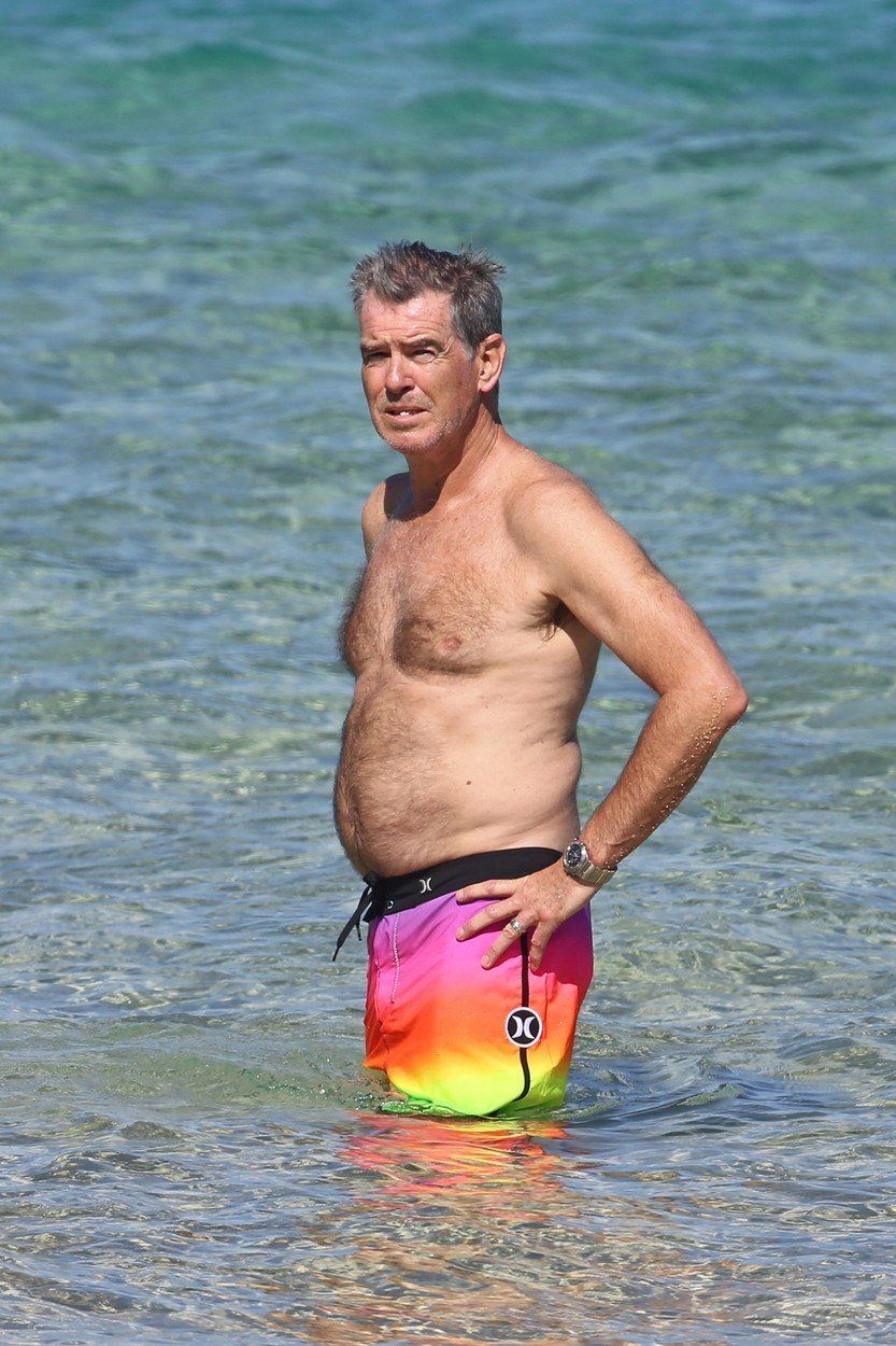 Herec Pierce Brosnan